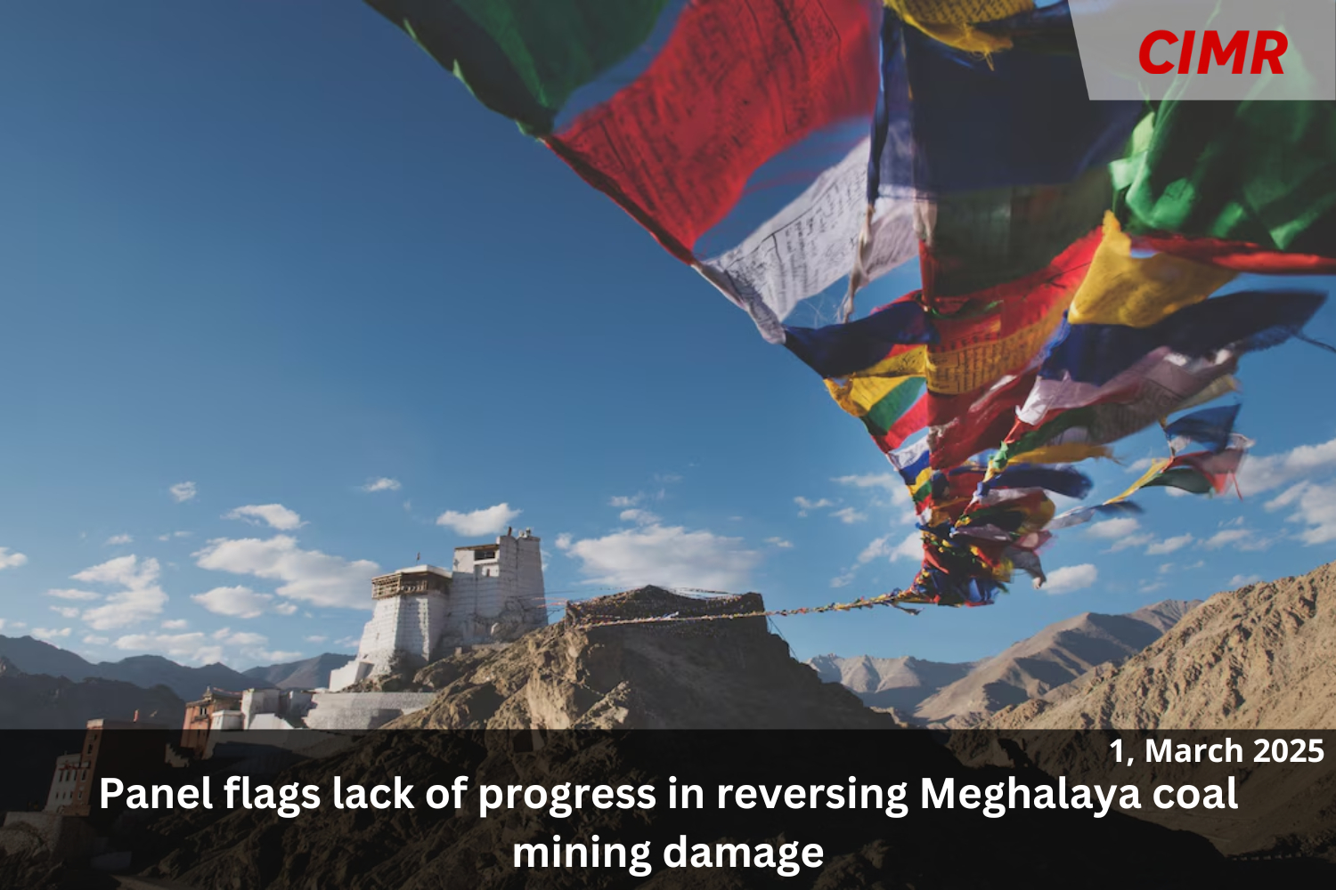 Panel flags lack of progress in reversing Meghalaya coal mining damage