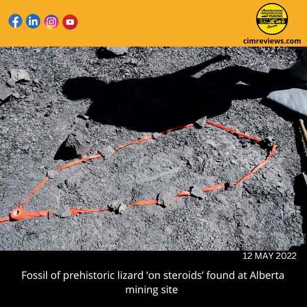 Fossil of prehistoric lizard ‘on steroids’ found at Alberta mining site